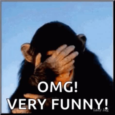 Laughing Monkey Omg GIF | GIFDB.com