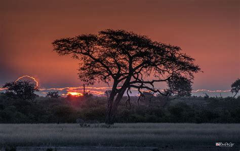 Beautiful African sunset DSC_3476 — DPC Photography