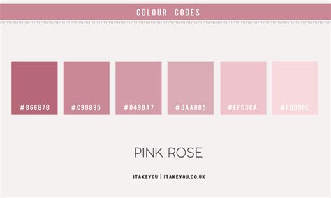 Pink Rose Colour Scheme | Shades of pink colour palette | Pink Combos