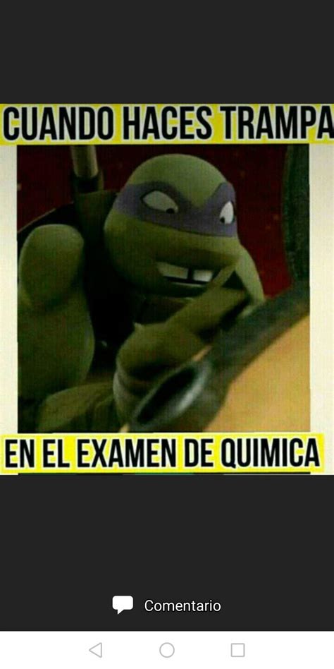 Memes de TMNT | ¤ TMNT en Español ¤ Amino