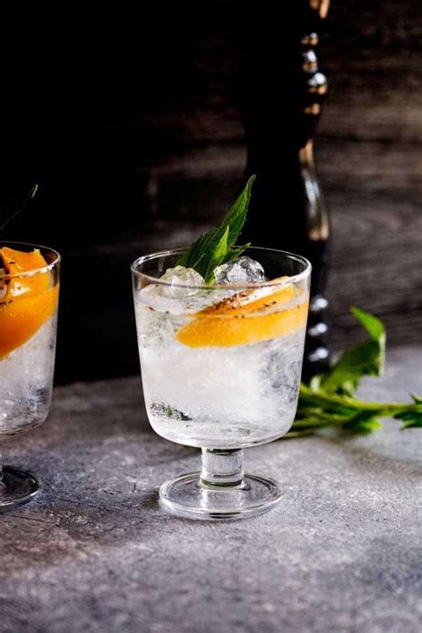 24 Gin and Tonic Recipes that Transform the Classic - An Unblurred Lady