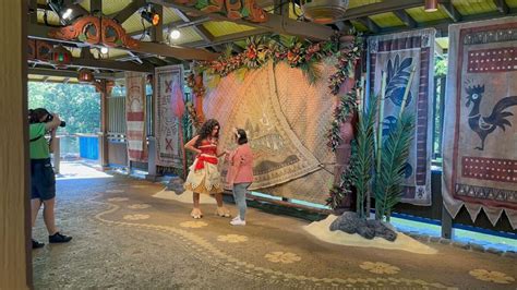 PHOTOS, VIDEO: Moana Meet and Greet Debuts at Disney's Animal Kingdom ...