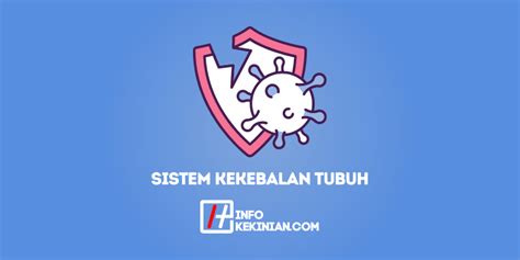 Mengenal Sistem Kekebalan Tubuh, Ini Cara Menjaga Kesehatannya