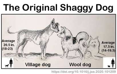 A True Shaggy Dog Story – Watts Up With That?