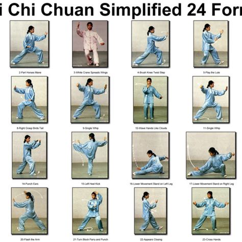 Stream Tai Chi 24 form music by Wildan Karim 7 | Listen online for free on SoundCloud