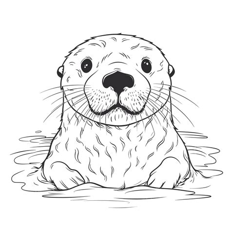 Otter In The Water On White Background Coloring Page Outline Sketch ...