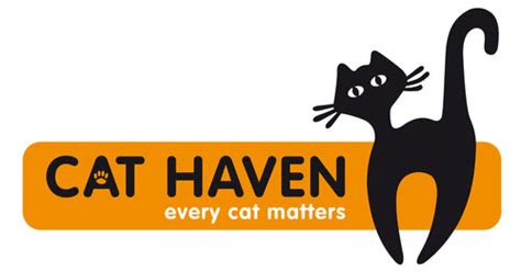 Cat Haven: Cat and kittens for sale - Adoption, Foster, Rescue a Cat