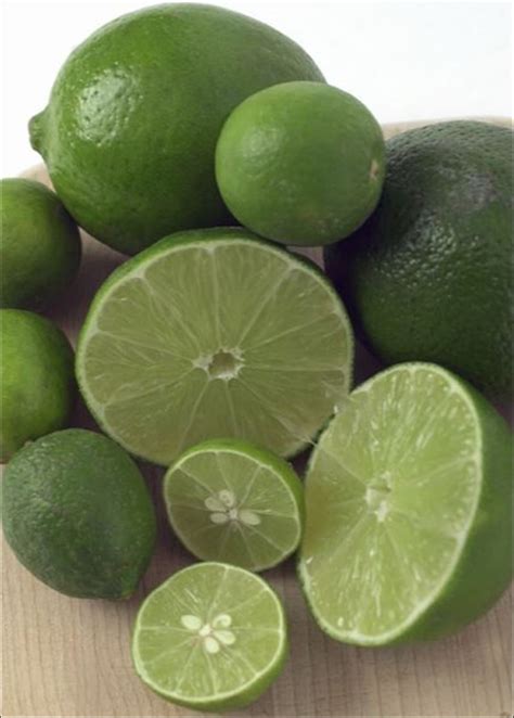 Persian Lime