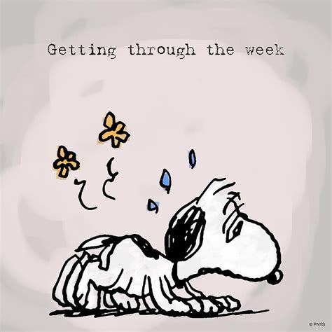 Getting through the week. Peanuts Gang Quotes, Peanuts Cartoon, Snoopy Quotes, Peanuts Snoopy ...