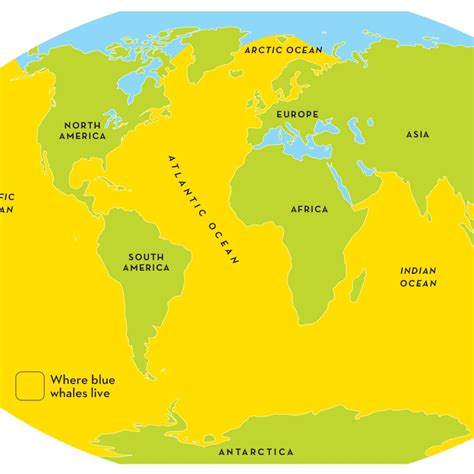 Blue Whale Habitat Range Hotsell | blog.websoft9.com