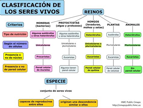 Los líquenes.Hongos liquenizados