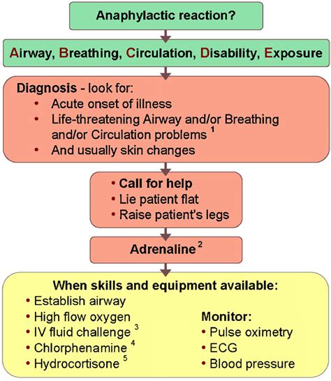 Anaphylactic Shock Treatment - Homecare24