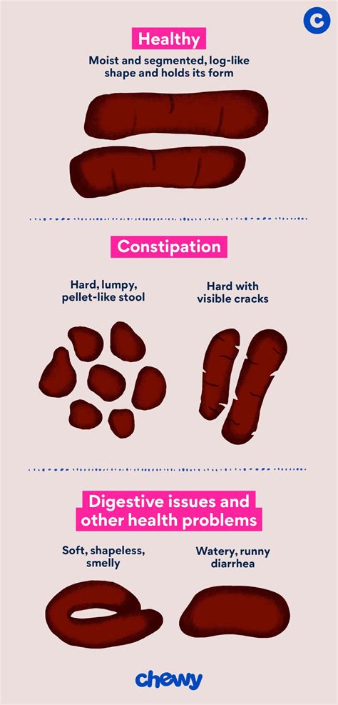 Dog Poop Color Chart: Is Your Dog's Poop Healthy? | BeChewy