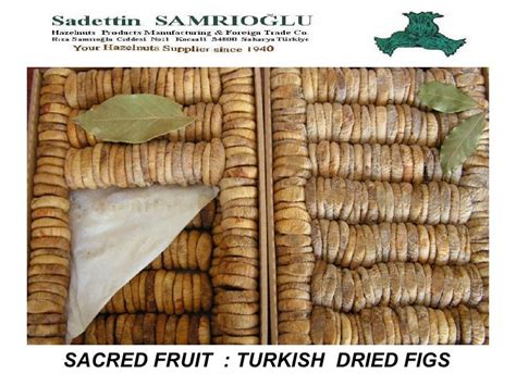 Turkish Dried Figs Processing Stages