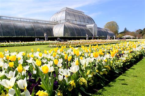 Glasgow Botanic Gardens Disabled Parking | Fasci Garden