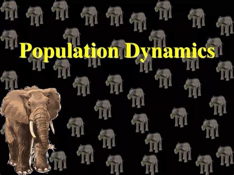 PPT - Population Dynamics PowerPoint Presentation, free download - ID ...