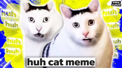 Huh cat meme. Cat saying huh - YouTube