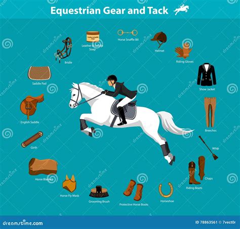 Equestrian Gear and Tack stock vector. Illustration of glove - 78863561