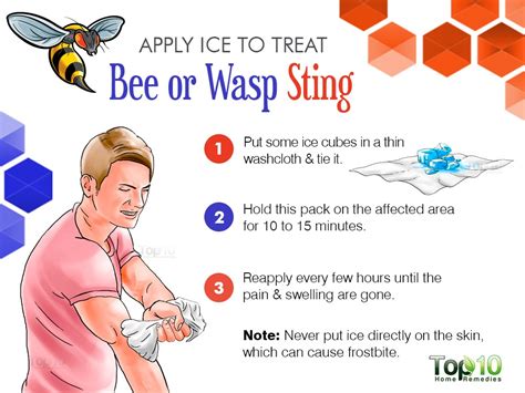 How to Treat a Bee or Wasp Sting | Top 10 Home Remedies