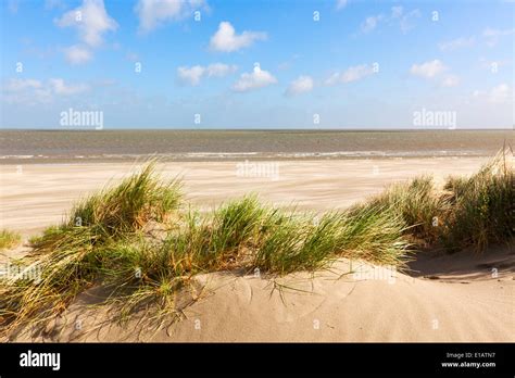 Dunes at the beach of Knokke-Heist, Belgium Stock Photo - Alamy