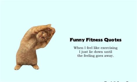 80 Funny Fitness Quotes and Funny Exercise Gym Memes – Daily Funny Quotes