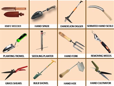 Gardening Hand Tools and Their Uses