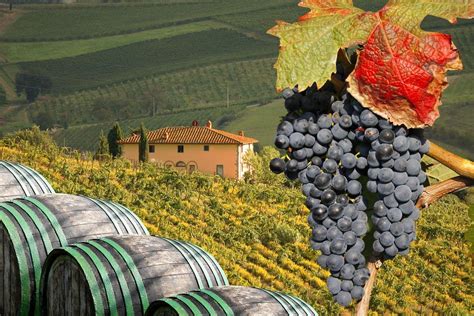 An Italian Wine Tasting Journey: From Piedmont to Tuscany Wine Tour ...