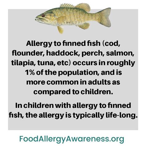 Fish Allergy