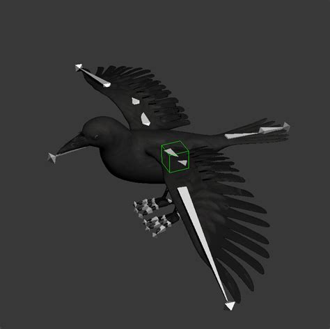 3d model crow flying animation