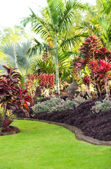 25+ Best Tropical Garden Design Ideas – Home and Gardens