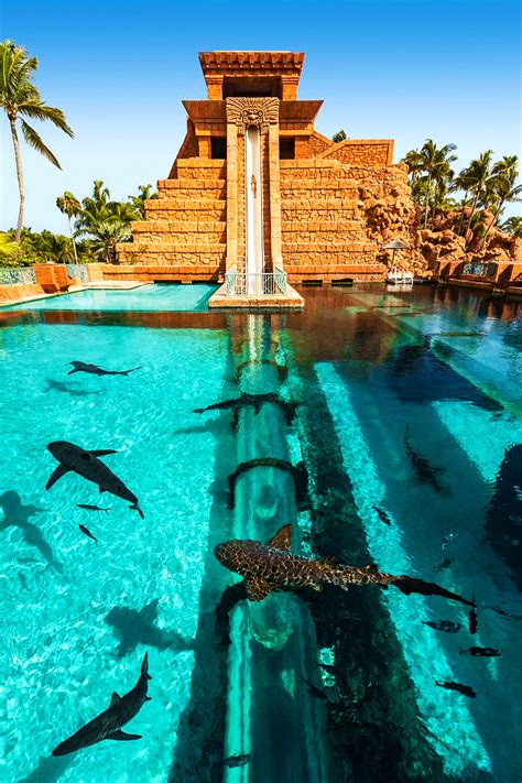 Enjoy 5 Days Of Saving And Discover Atlantis Bahamas