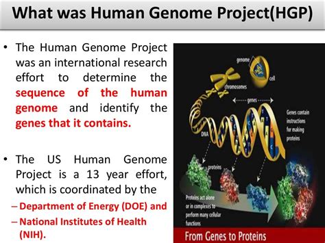 Human genome project