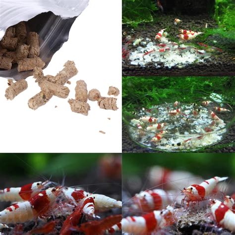 Aliexpress.com : Buy 2018 NEW 40g Snow Natto Shrimp Snail Food Feed Feeding For Aquarium Fish ...