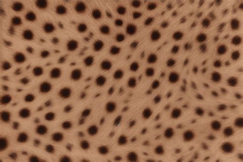 Cheetah Skin Texture Graphic by mimishop · Creative Fabrica