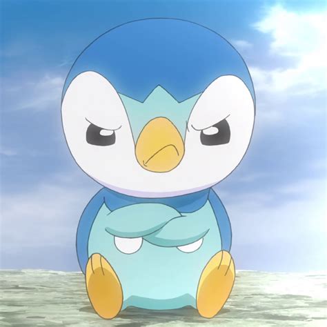 Pokémon - Just Piplup being angry but cute. 😡😍 Tag a...