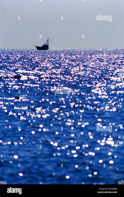 Boating Biscayne Bay, Miami Stock Photo - Alamy