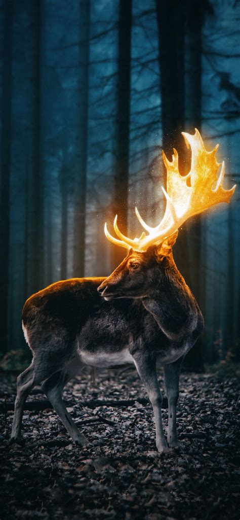 Golden Deer : r/iWallpaper