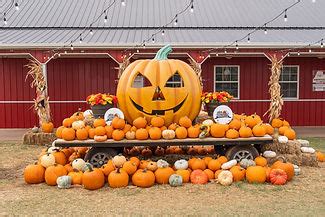 Orr Family Farm | Oklahoma City, OK