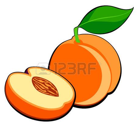 Apricot Clipart | Free download on ClipArtMag