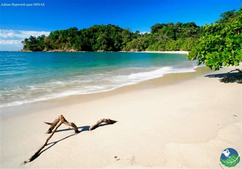 Beaches in Manuel Antonio Costa Rica; & National Park in Quepos