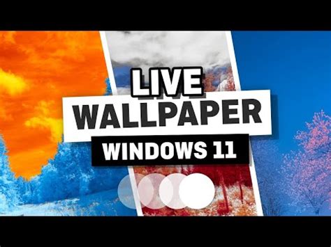 How to Add a Live Wallpaper in Windows 11 - Animated Wallpaper for Windows 11 | Видео