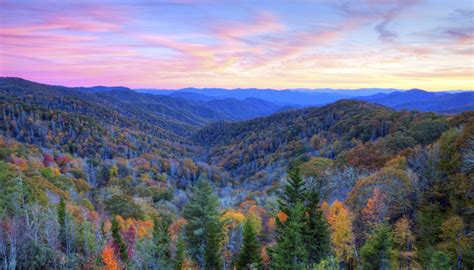 Smoky Mountains Fall Foliage