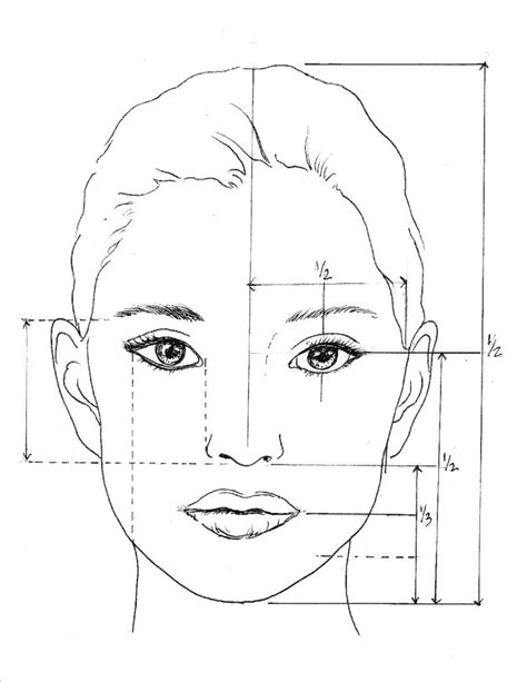 Proportions Of The Face Worksheets