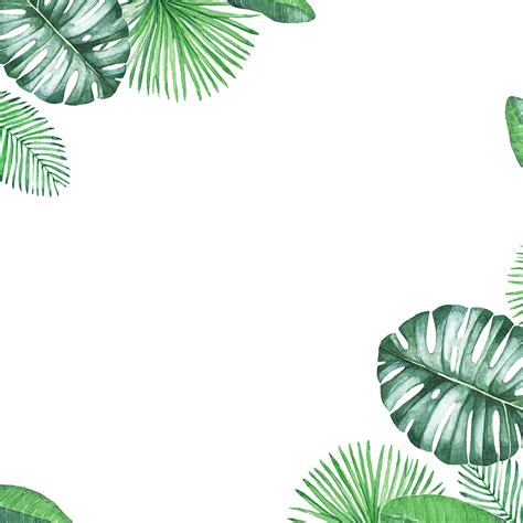 Leaves Border Transparent PNG | PNG Mart