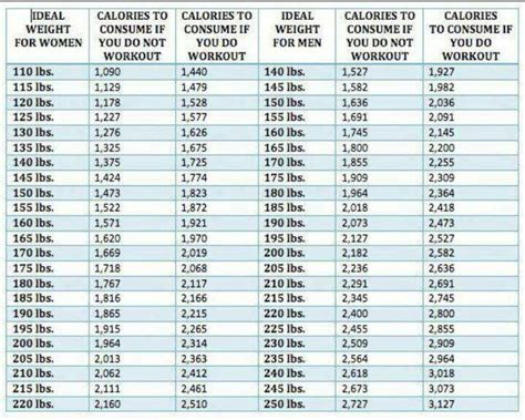 5×5 Workout Weight Calculator | EOUA Blog