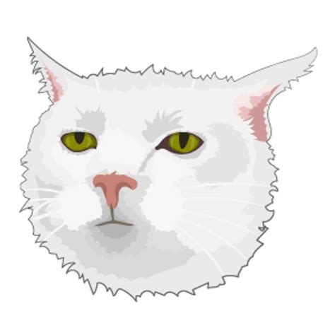 Serious Cat Meme - Sticker Mania