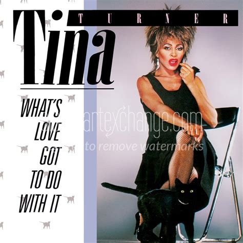 Album Art Exchange - What's Love Got To Do With It (Single) by Tina ...