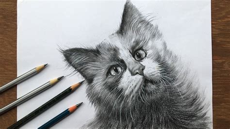 Pencil Shade Drawing Of Animals