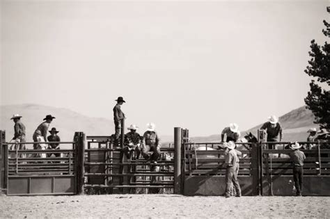 200+ Bronc Riding Stock Photos, Pictures & Royalty-Free Images - iStock