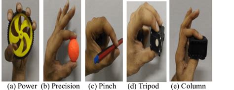 Various grasps performed by a Human Hand | Download Scientific Diagram